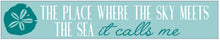Option #4 - HELLO SUMMER - Francesca’s Celebration