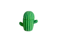Kids Ceramic Cactus Pot Craft Kit